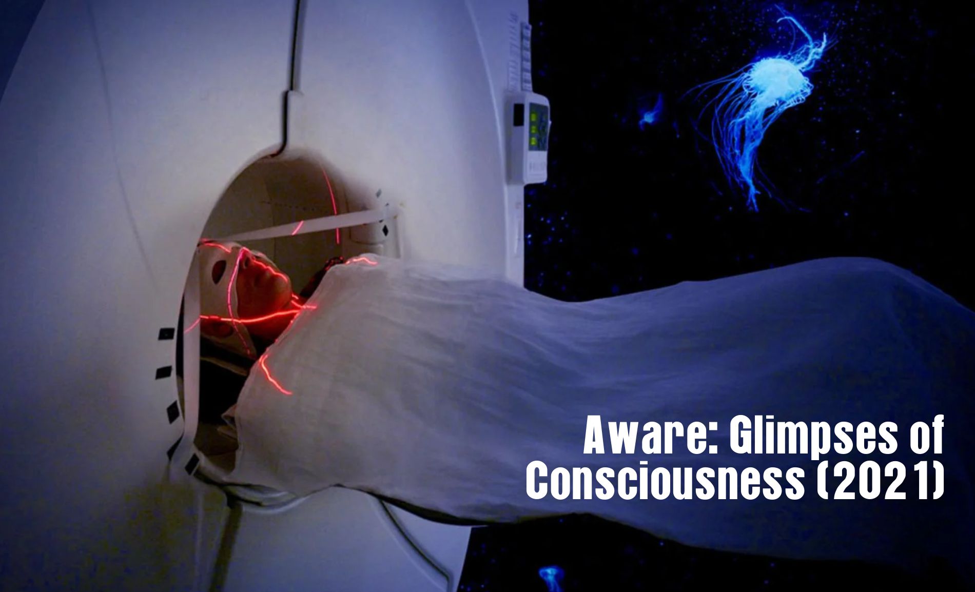 Aware: Glimpses of Consciousness (2021)