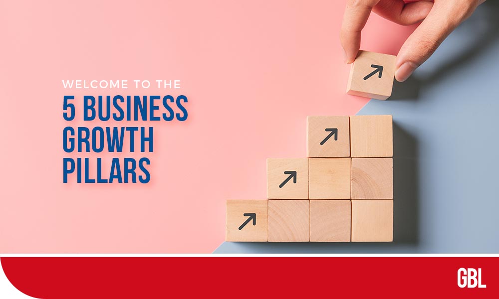 5 Business Growth Pillars